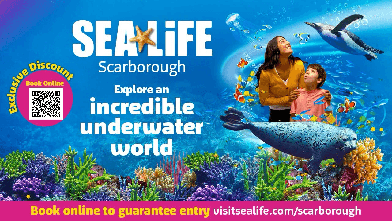 Banking Card in Folk