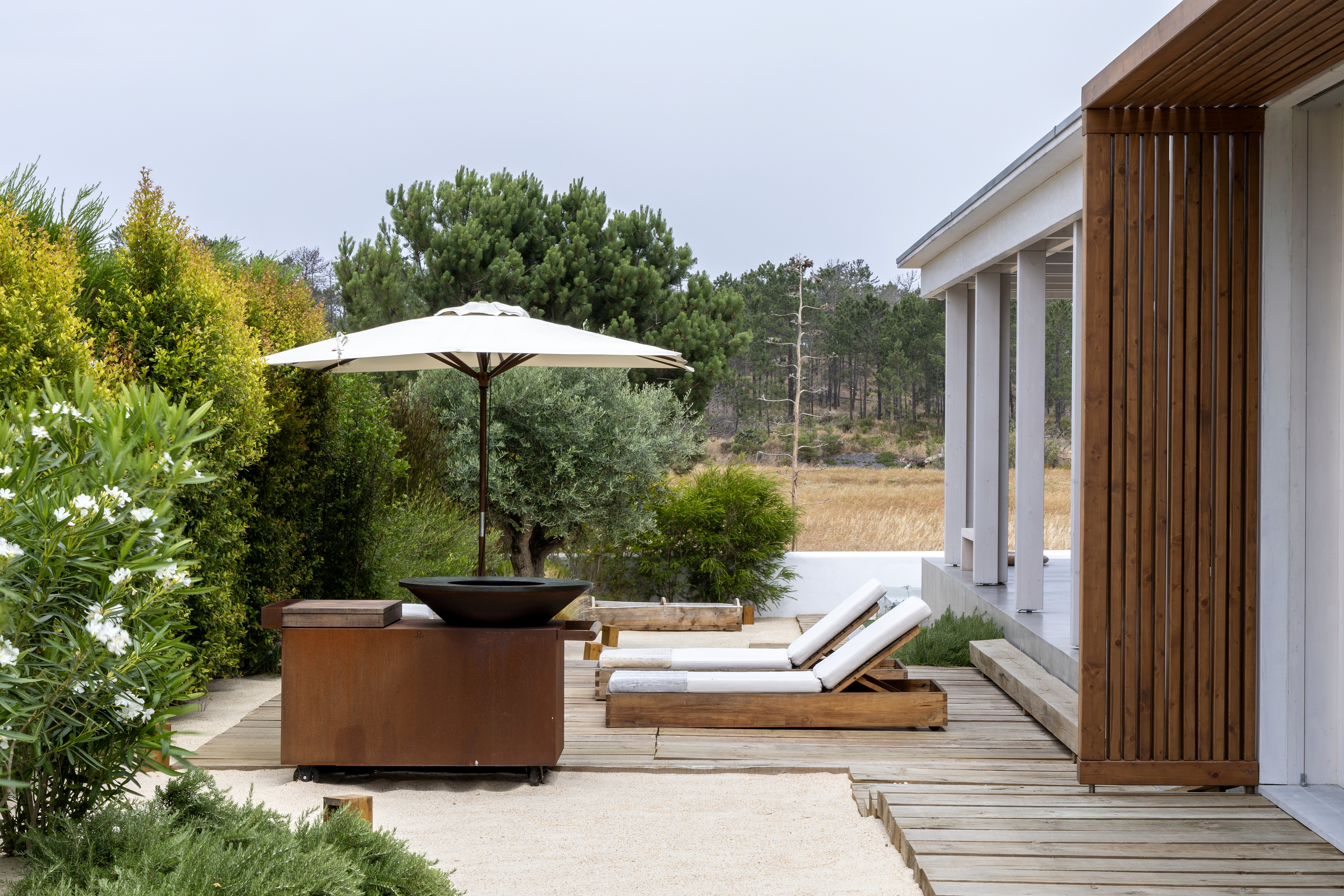 Group of hikers walking through a mountain meadow surrounded by pine trees and misty peaks.