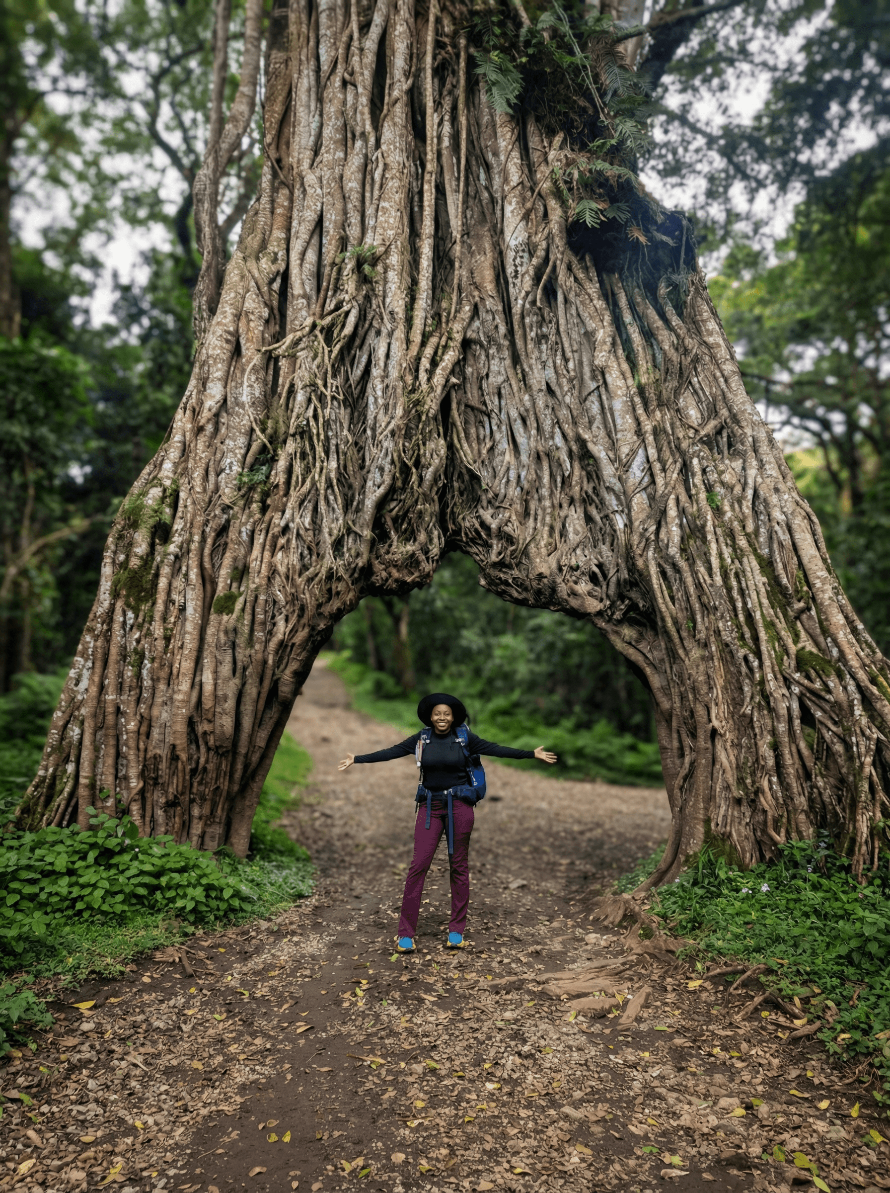 Collection of AlUla desert landscapes — golden dunes, sandstone cliffs, and authentic travel moments captured under natural light.