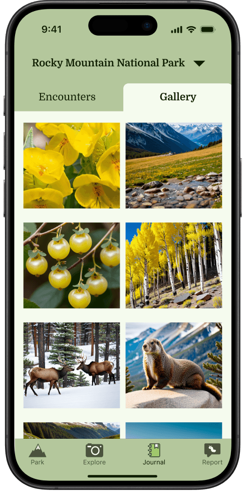 journal page with gallery tab selected, and grid of photos from the park