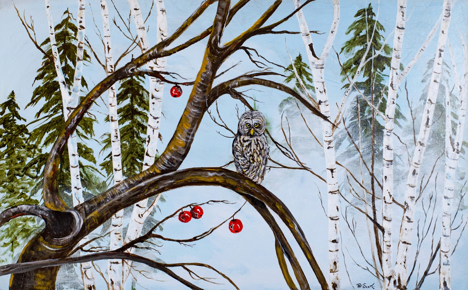 A misty scene captures an owl perched on the branch of an old apple tree. Despite having no leaves, the tree had produced four apples.