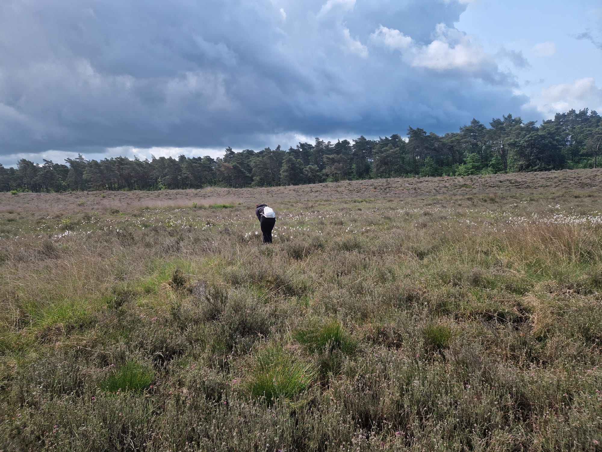 De Dellen wandeling 