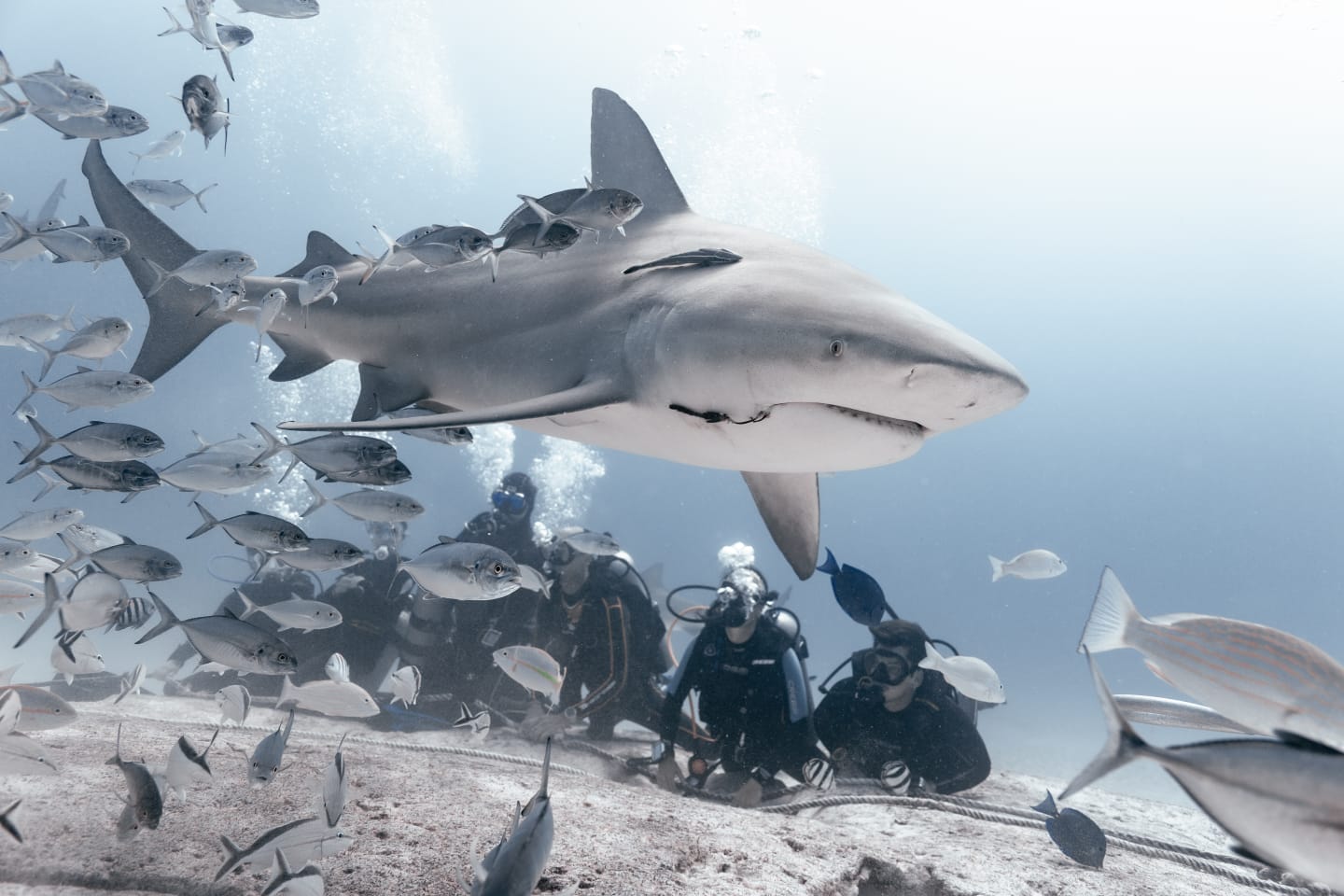 Coach explaining stuff to an athlete