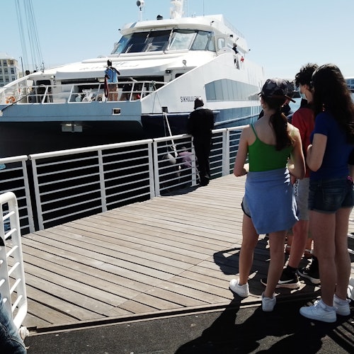 从纳尔逊·曼德拉大门出发，前往罗本岛博物馆。