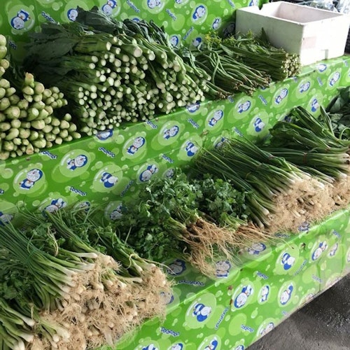 Stroll through the market to choose fresh vegetables.