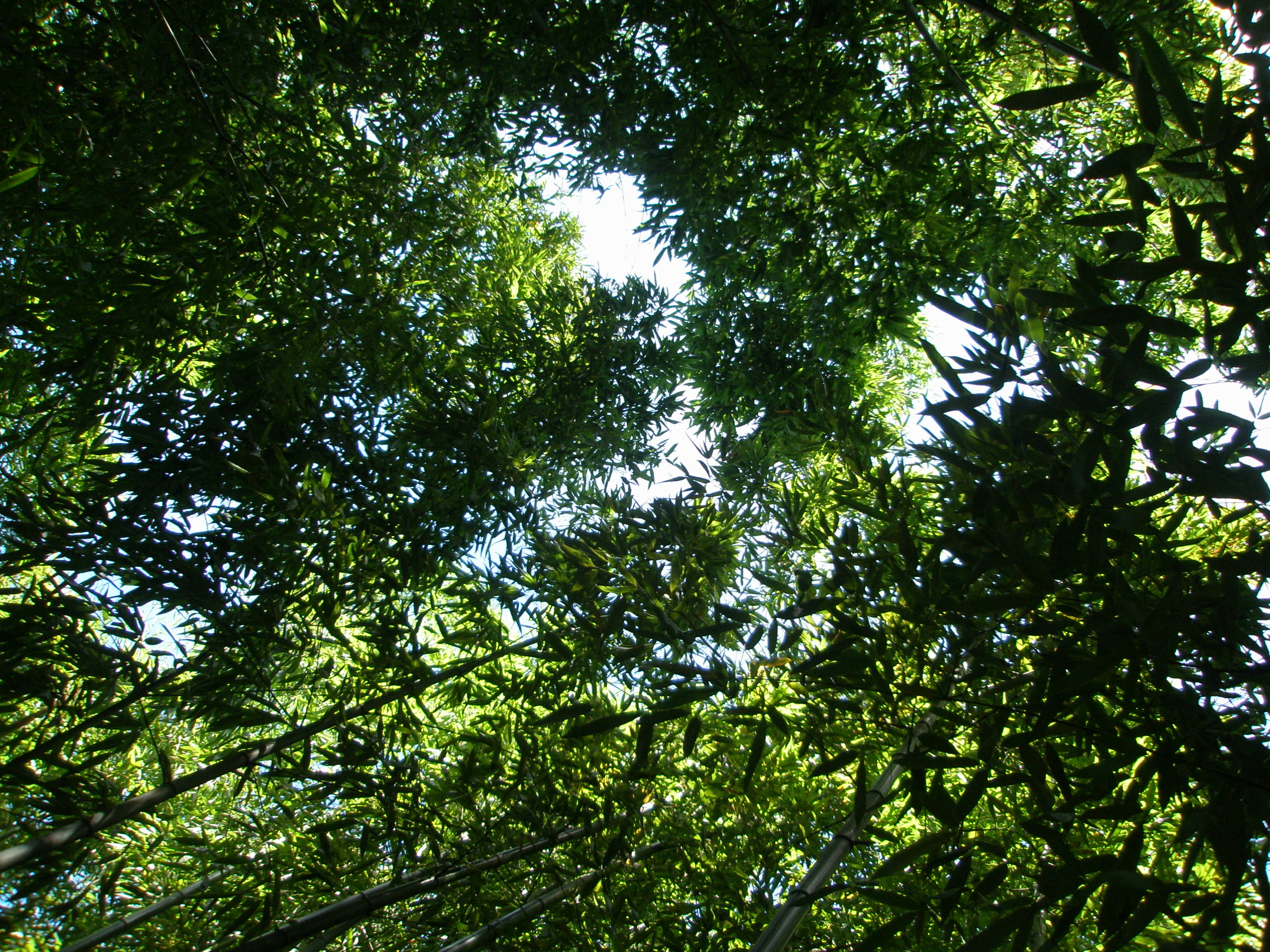worker on laboratorium