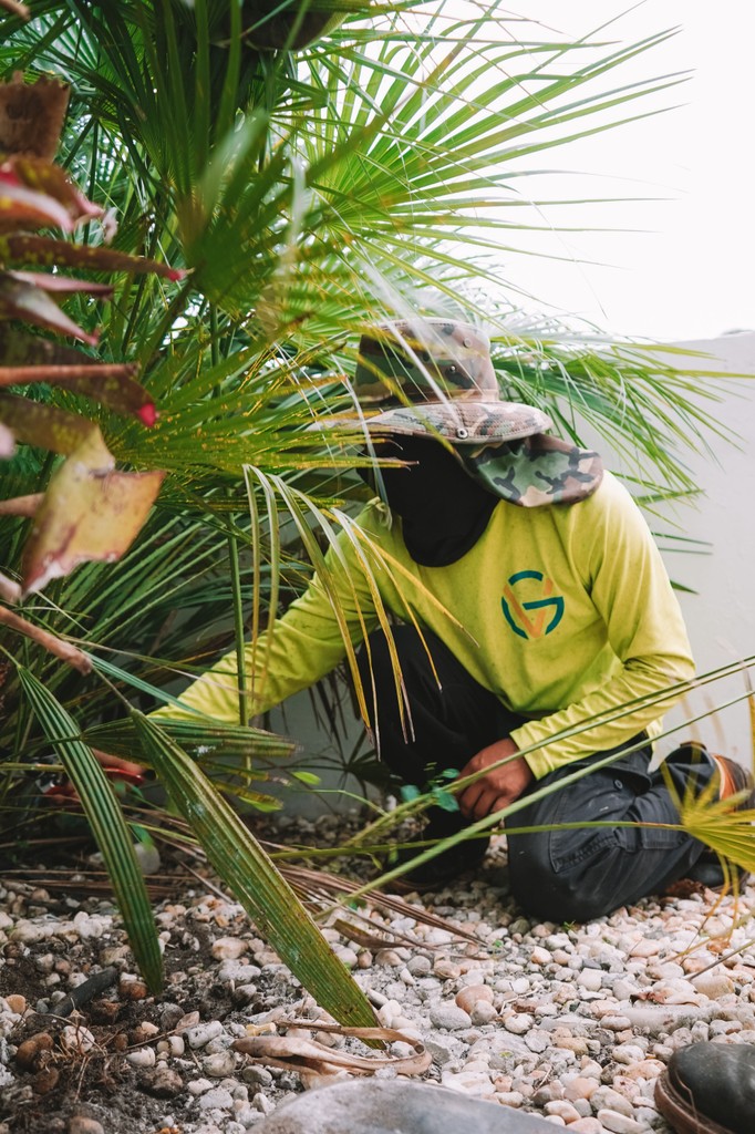 bush-hand-clipping