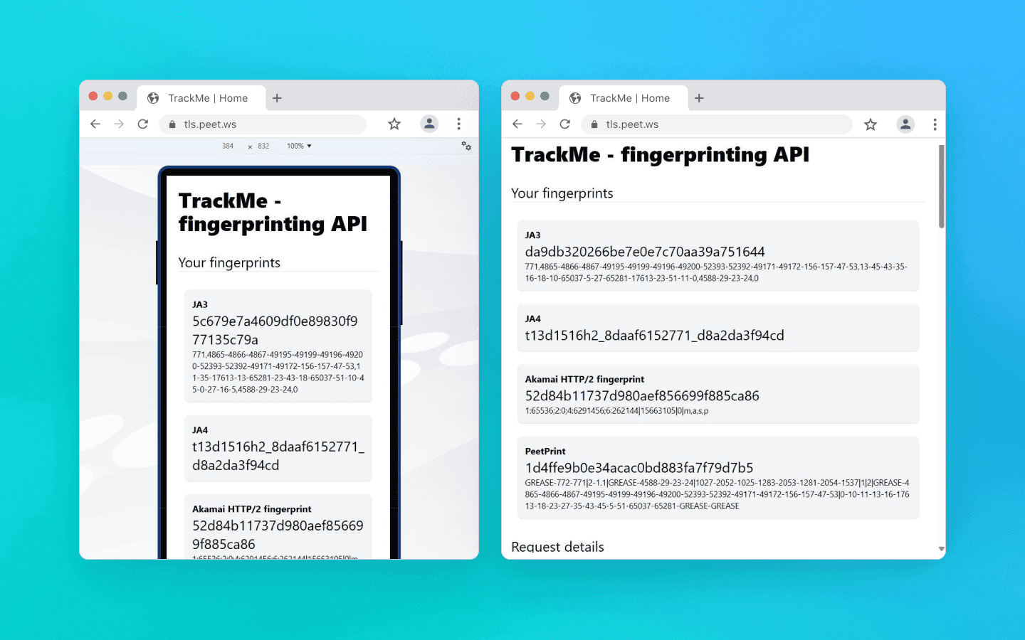 À esquerda você pode ver a impressão digital criptográfica de um desktop fingindo ser um dispositivo móvel, e à direita um pacote TLS móvel correto no mesmo computador