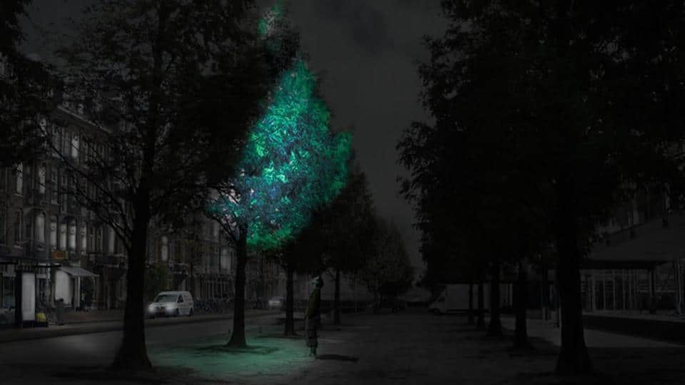 bioluminescence