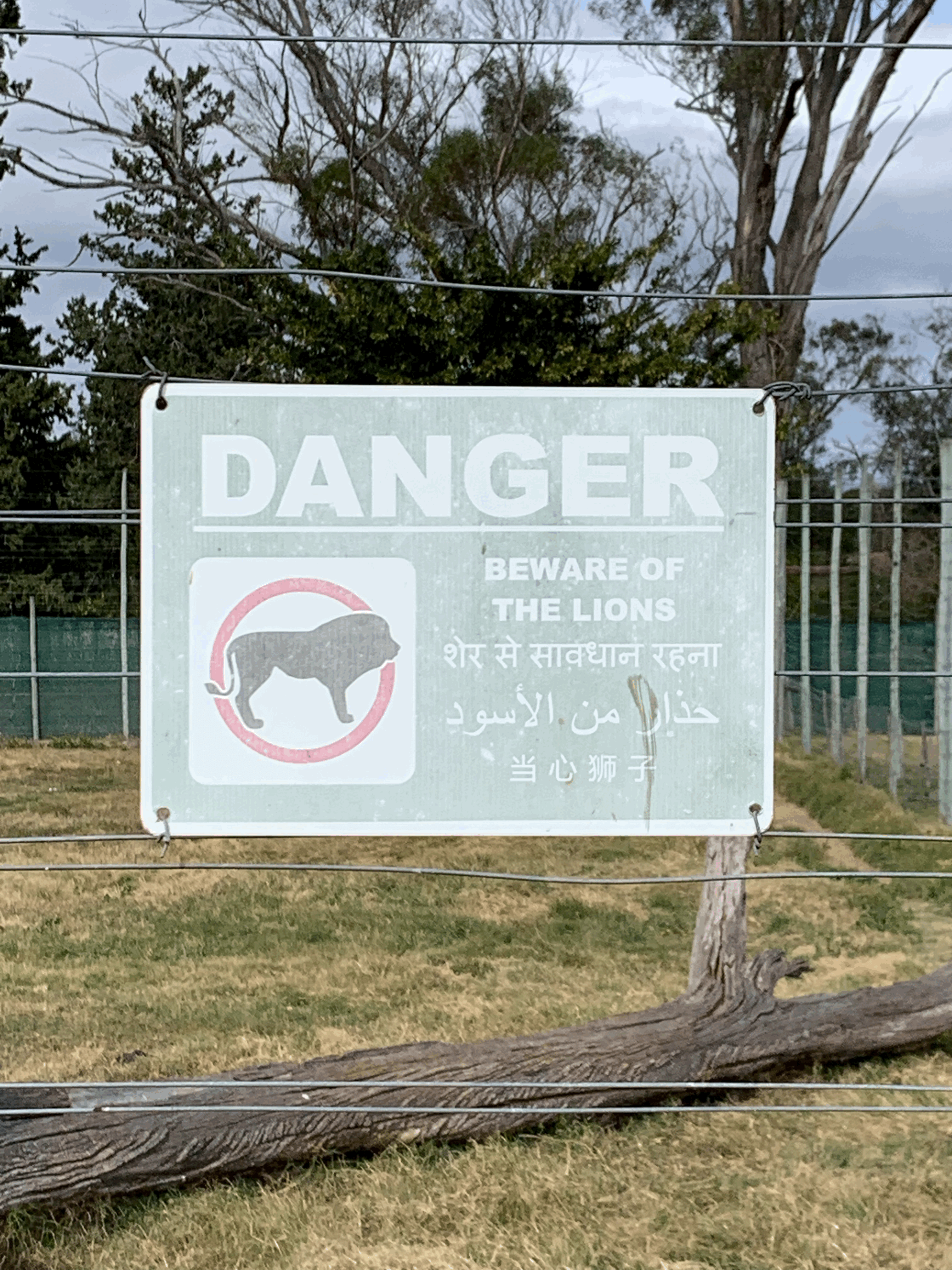 afrique du sud immersion