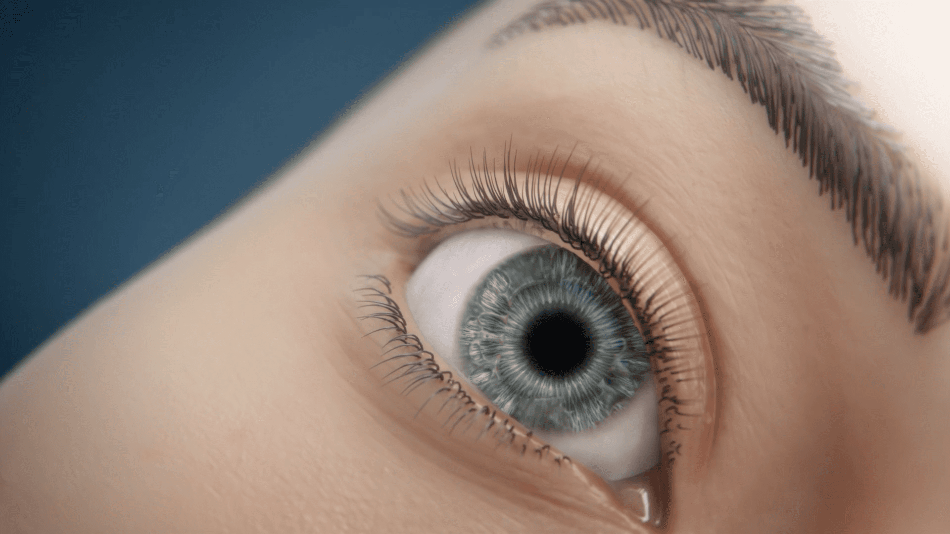 3D render of the foveal cones in the retina