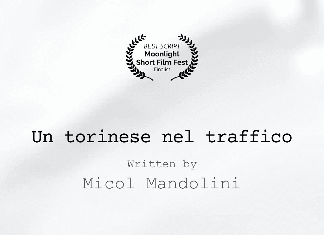 un torinese nel traffico