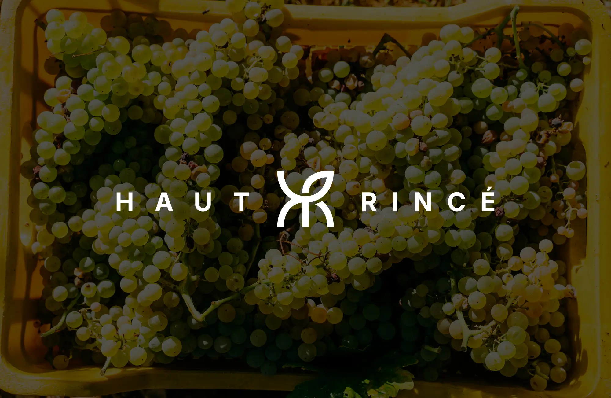 Logo du domaine Haut Rincé avex des raisins en fond