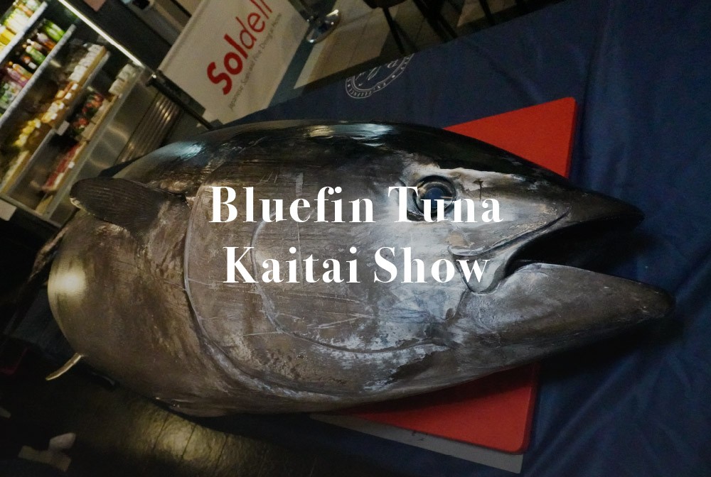 bluefin-tuna-kaitai-show