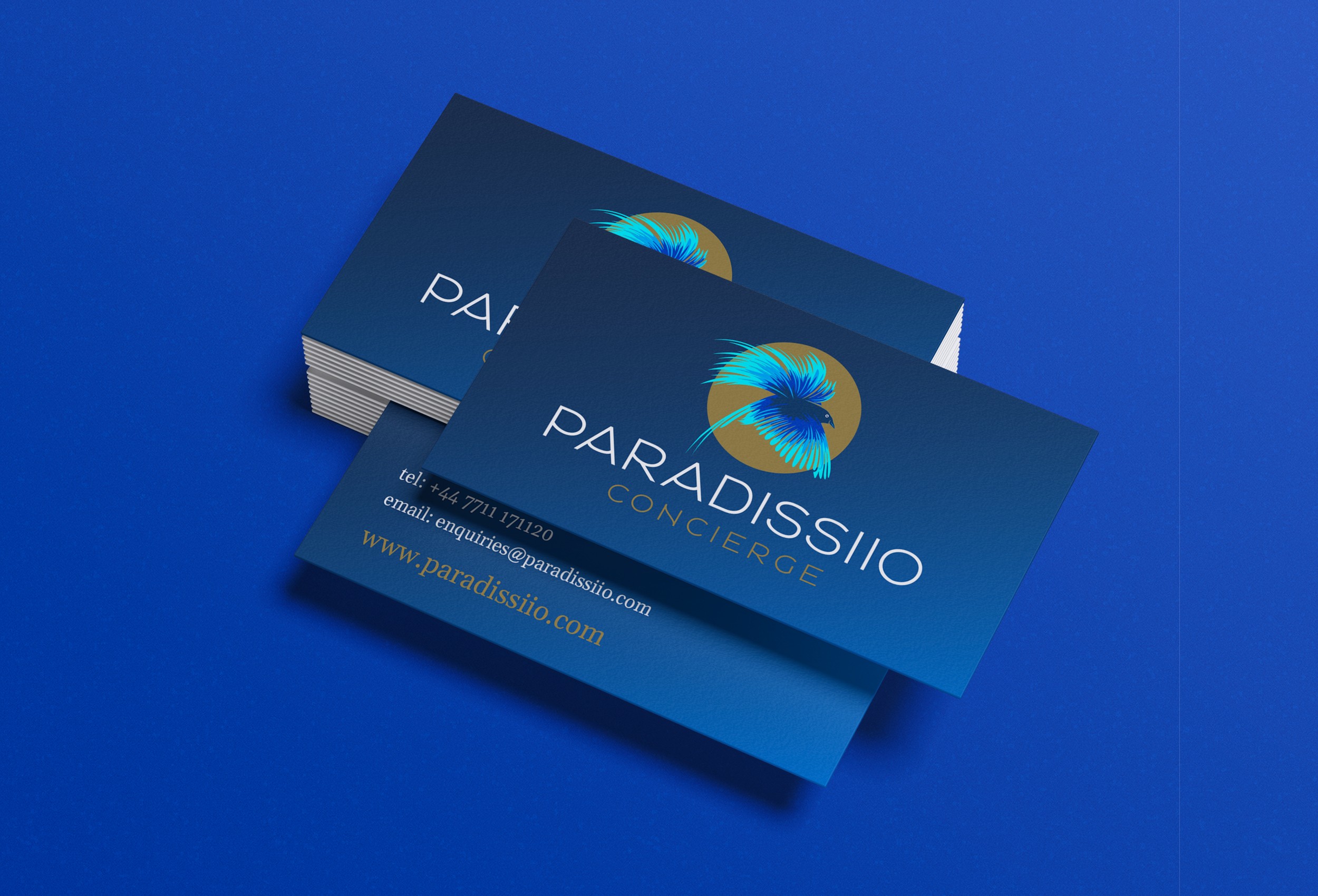 Paraddissiio Business Card Design