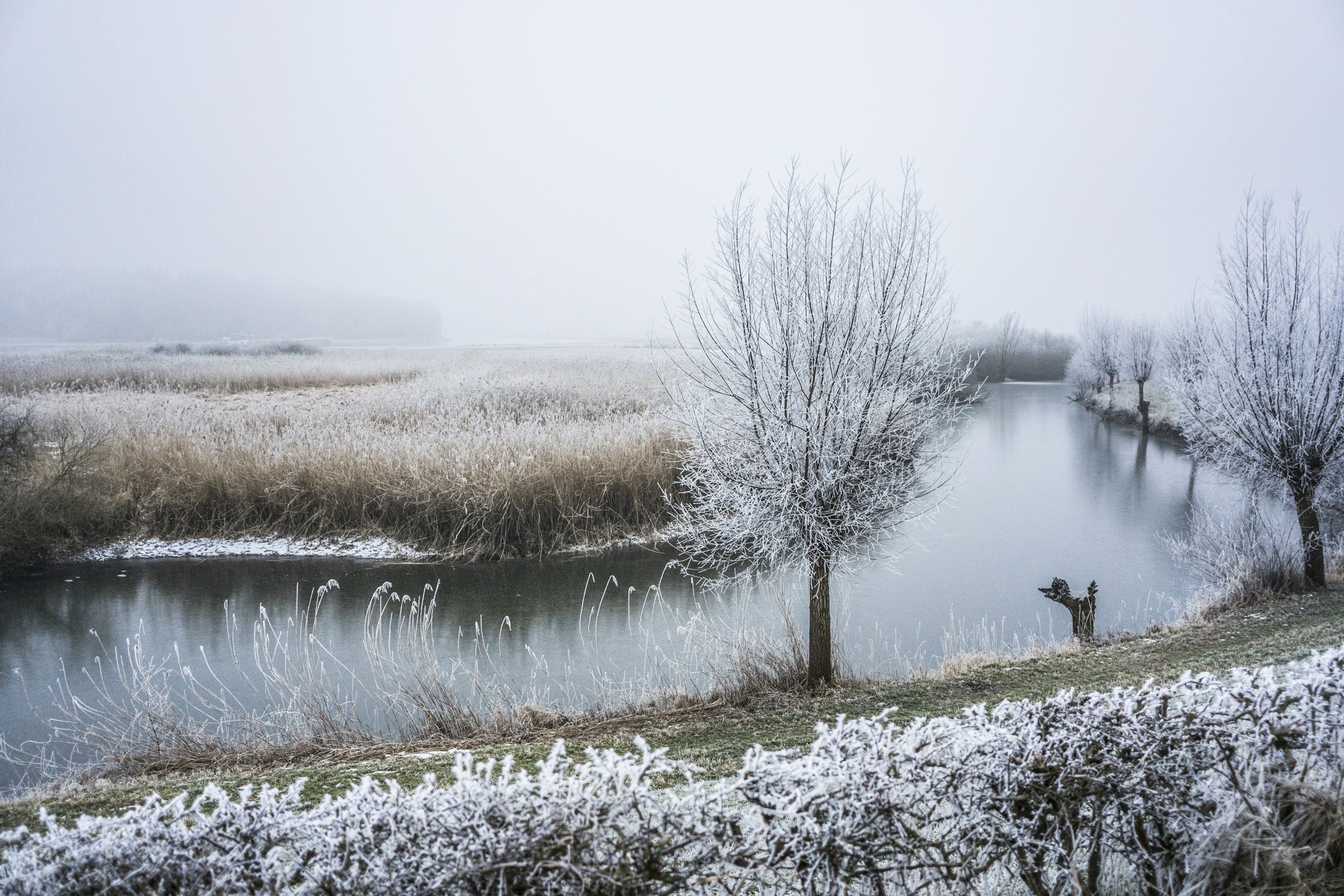 Winter in Netherlands