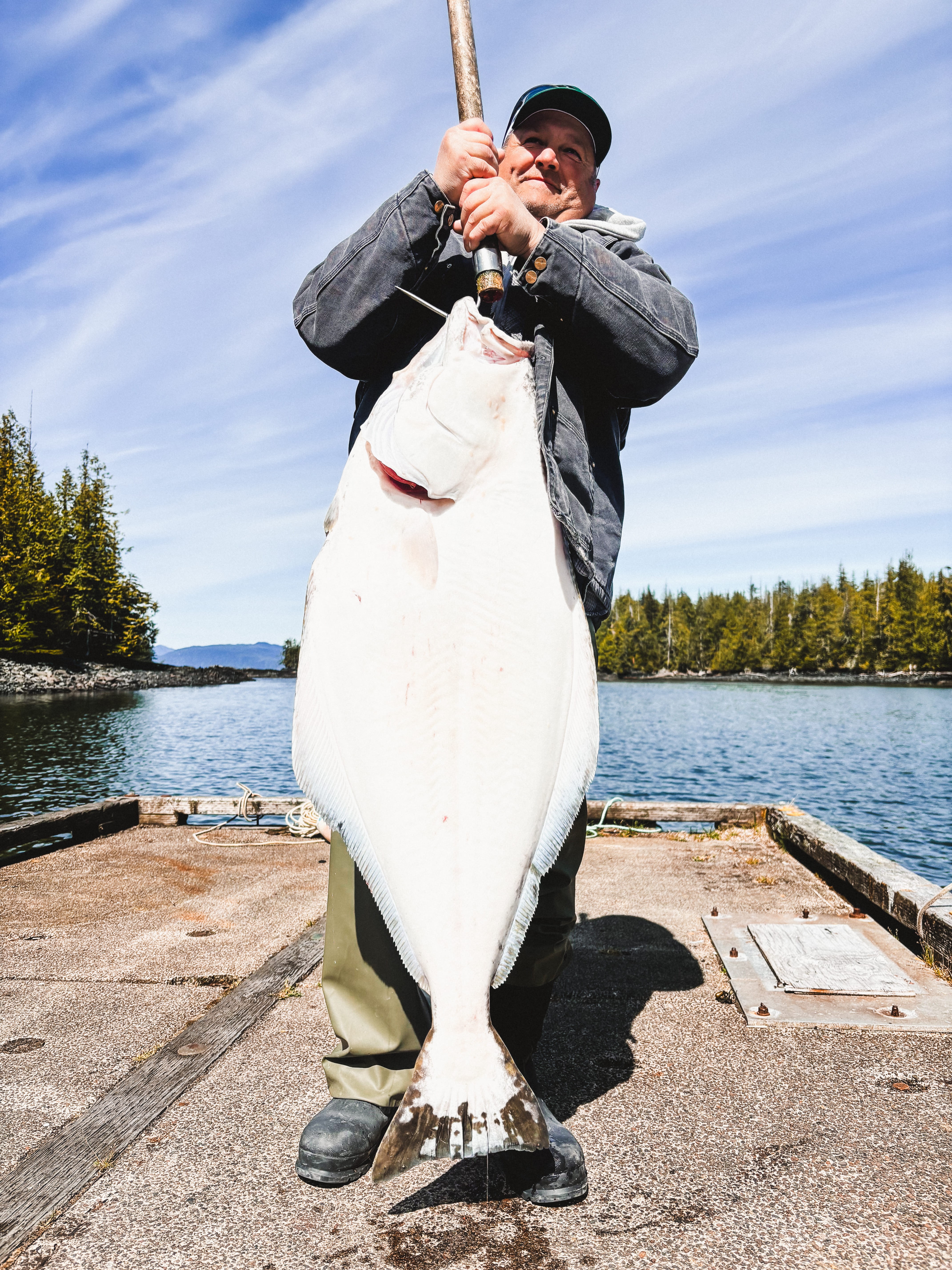 Close-up of joshua tree branches against a clear sky.