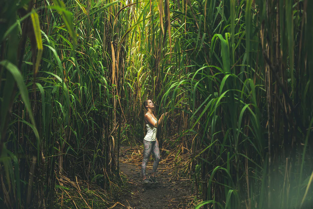 Couple's Getaway in Costa Rica