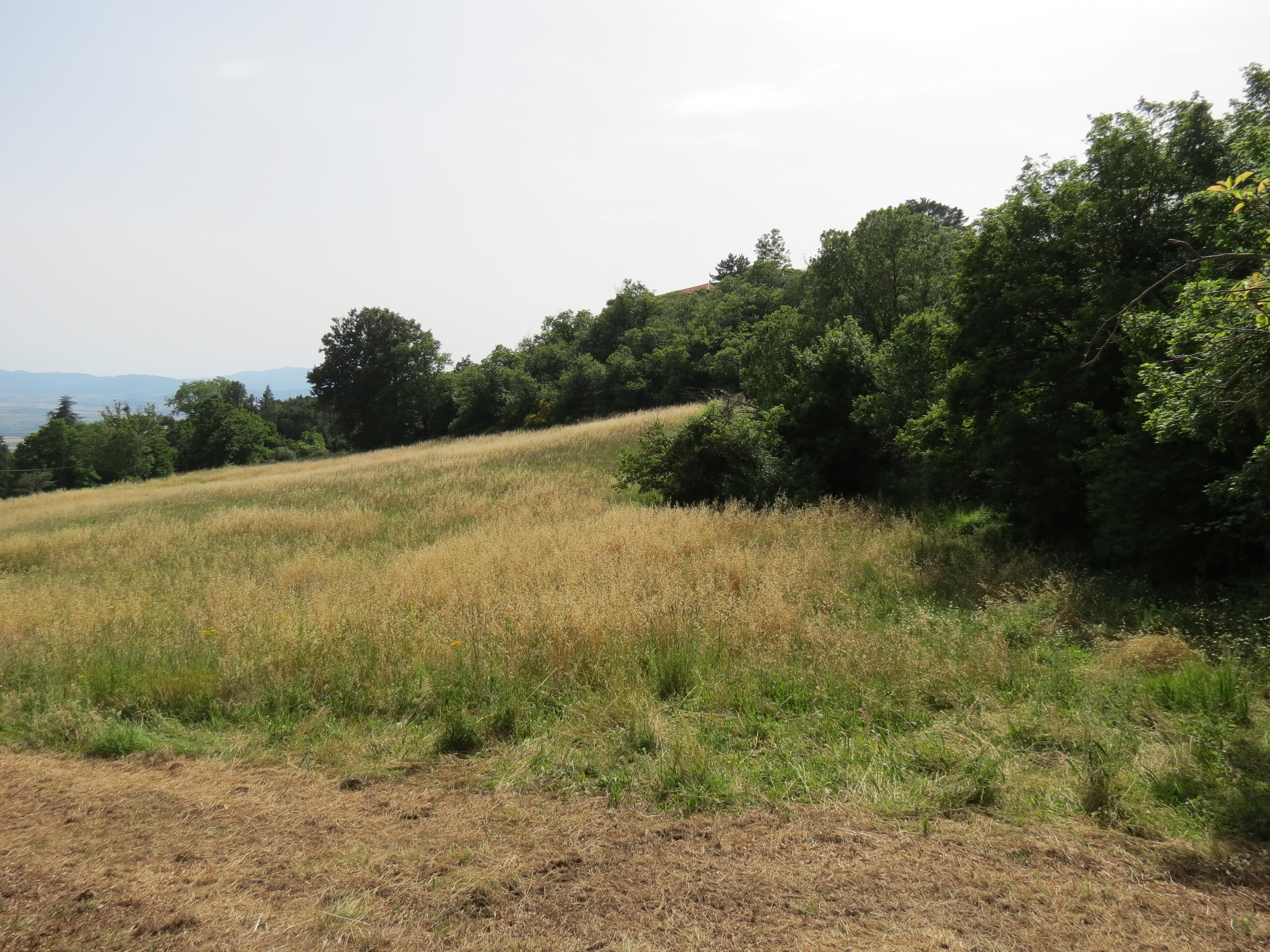 Casale Vista Provenza, soggiorno con travi a vista, Roccatederighi Maremma Toscana