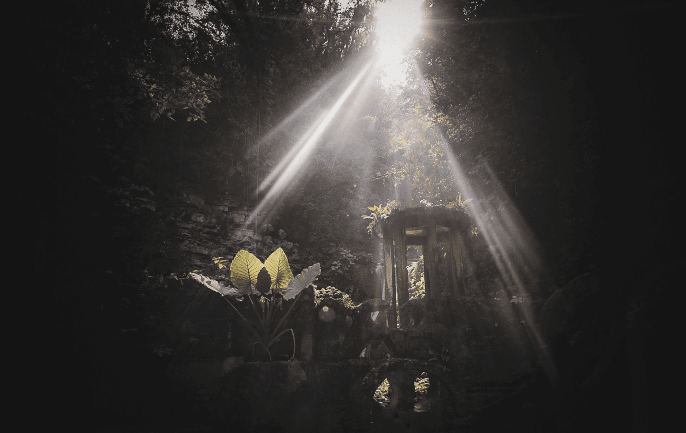 Photo by Renee G. Gudiño