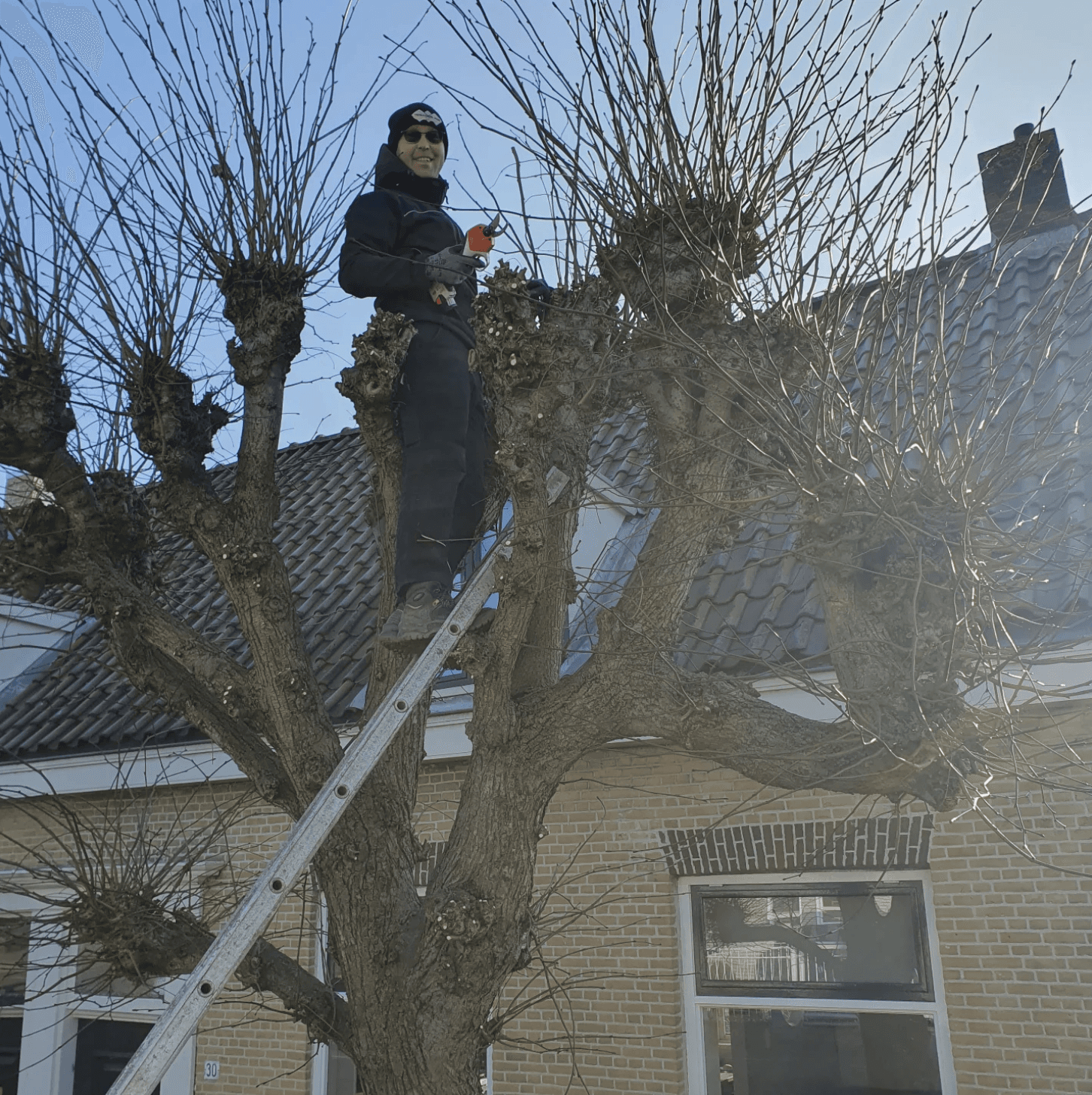 tuin renovatie