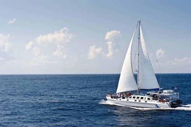 Catamaran 59