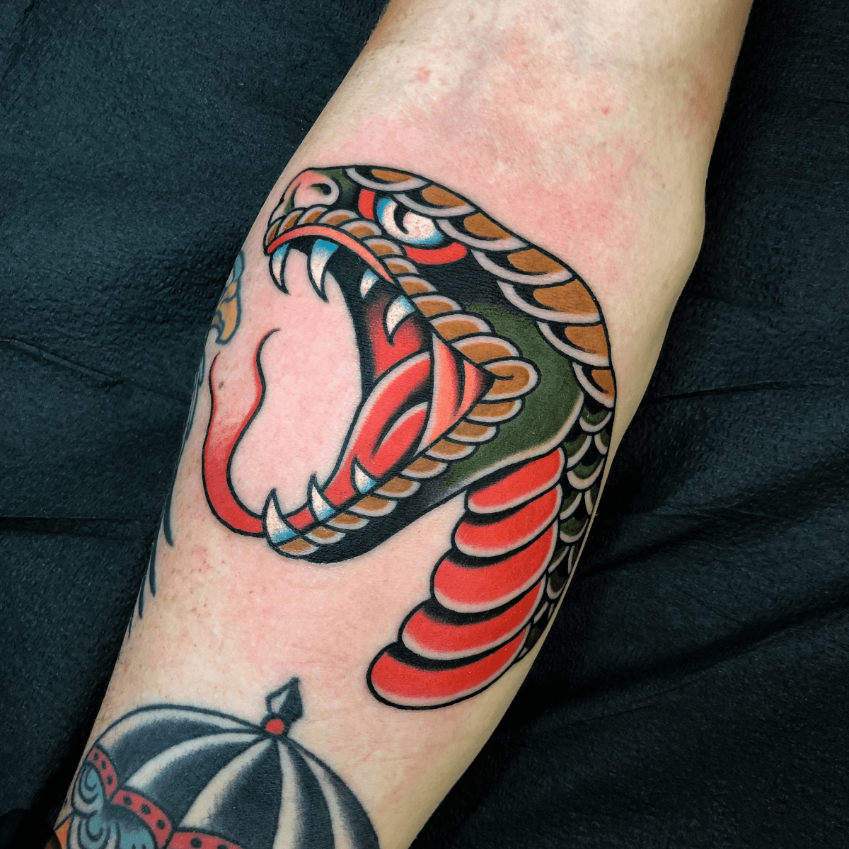 color tattoo of a snake head