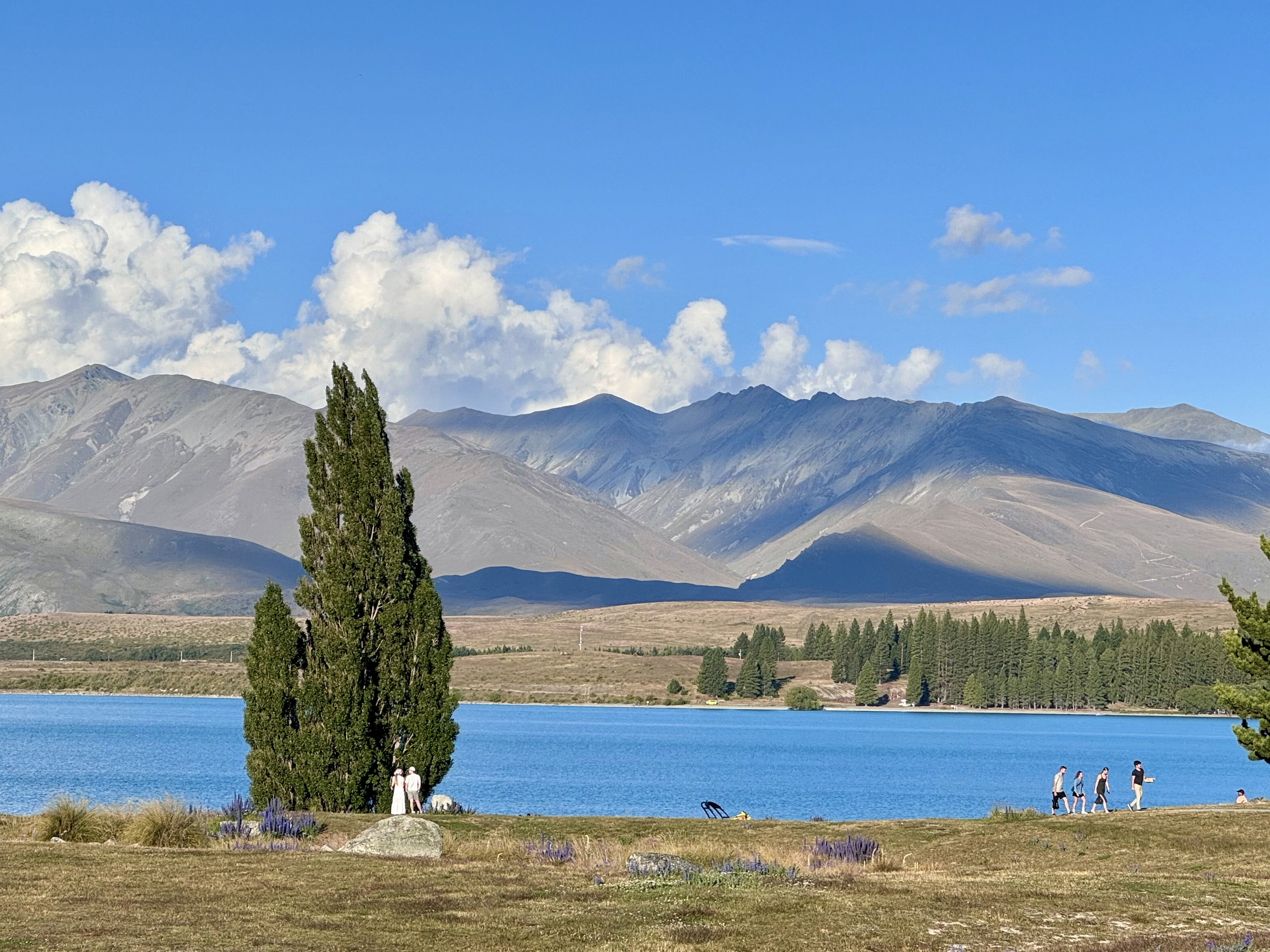 Lake Tekapo and a lone tree on its banks and arid alpine mountains on the other side