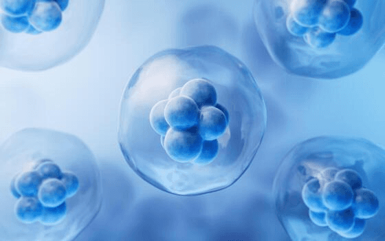 Abstract, iridescent, and connected orbs are floating.