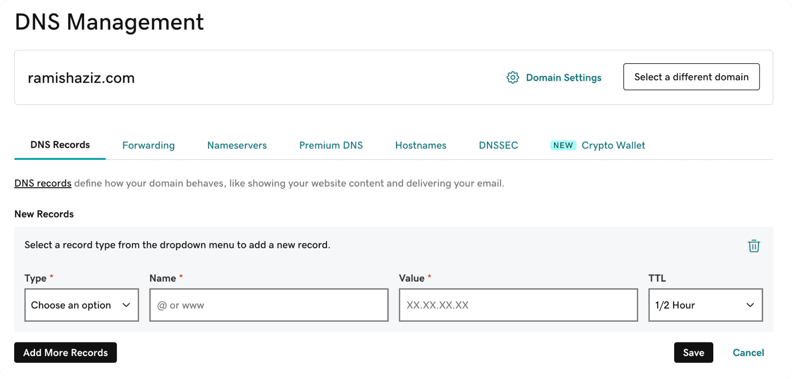 GoDaddy DNS management settings interface for configuring domain records