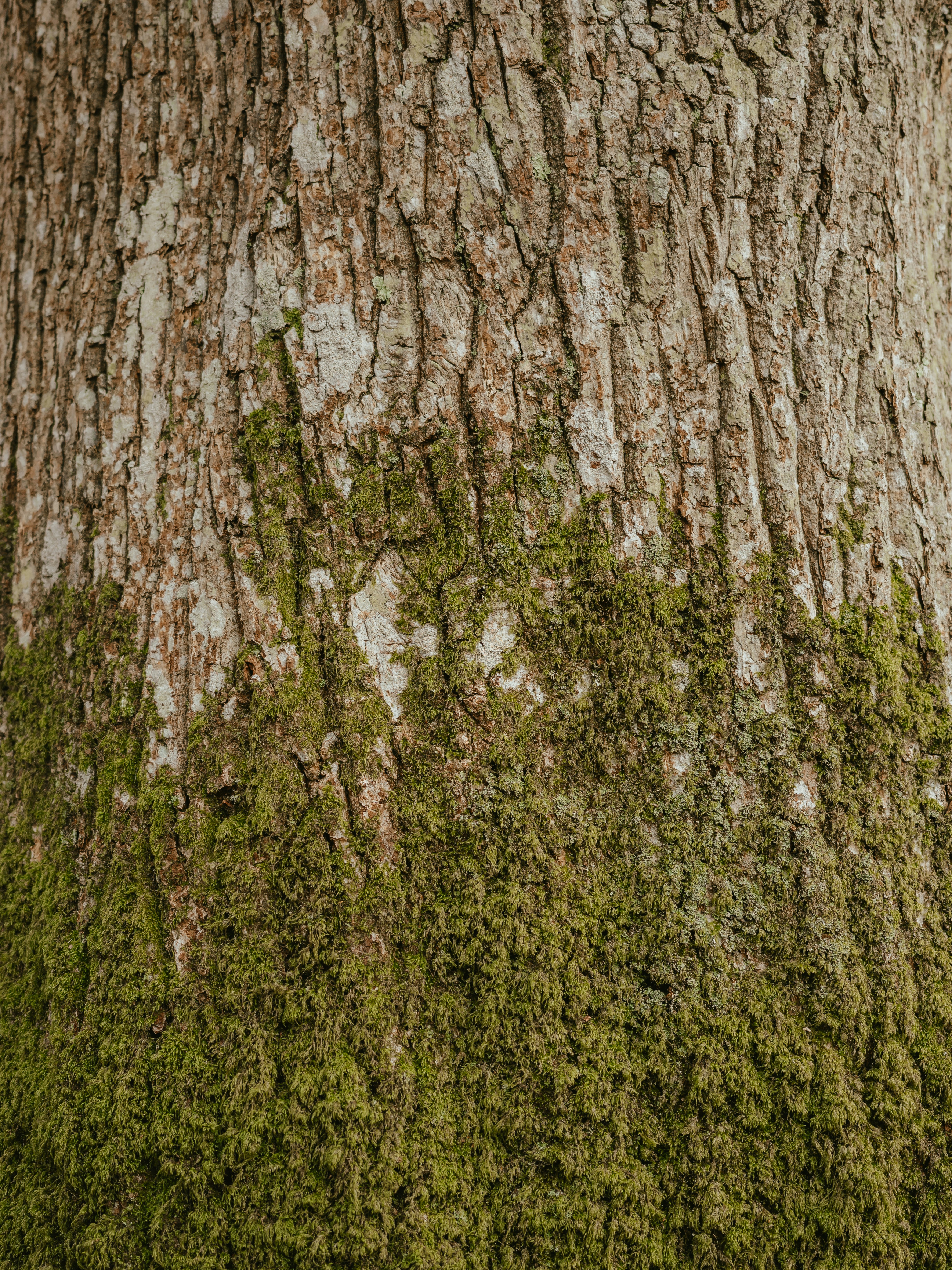 Lake view from RV site with hot tub