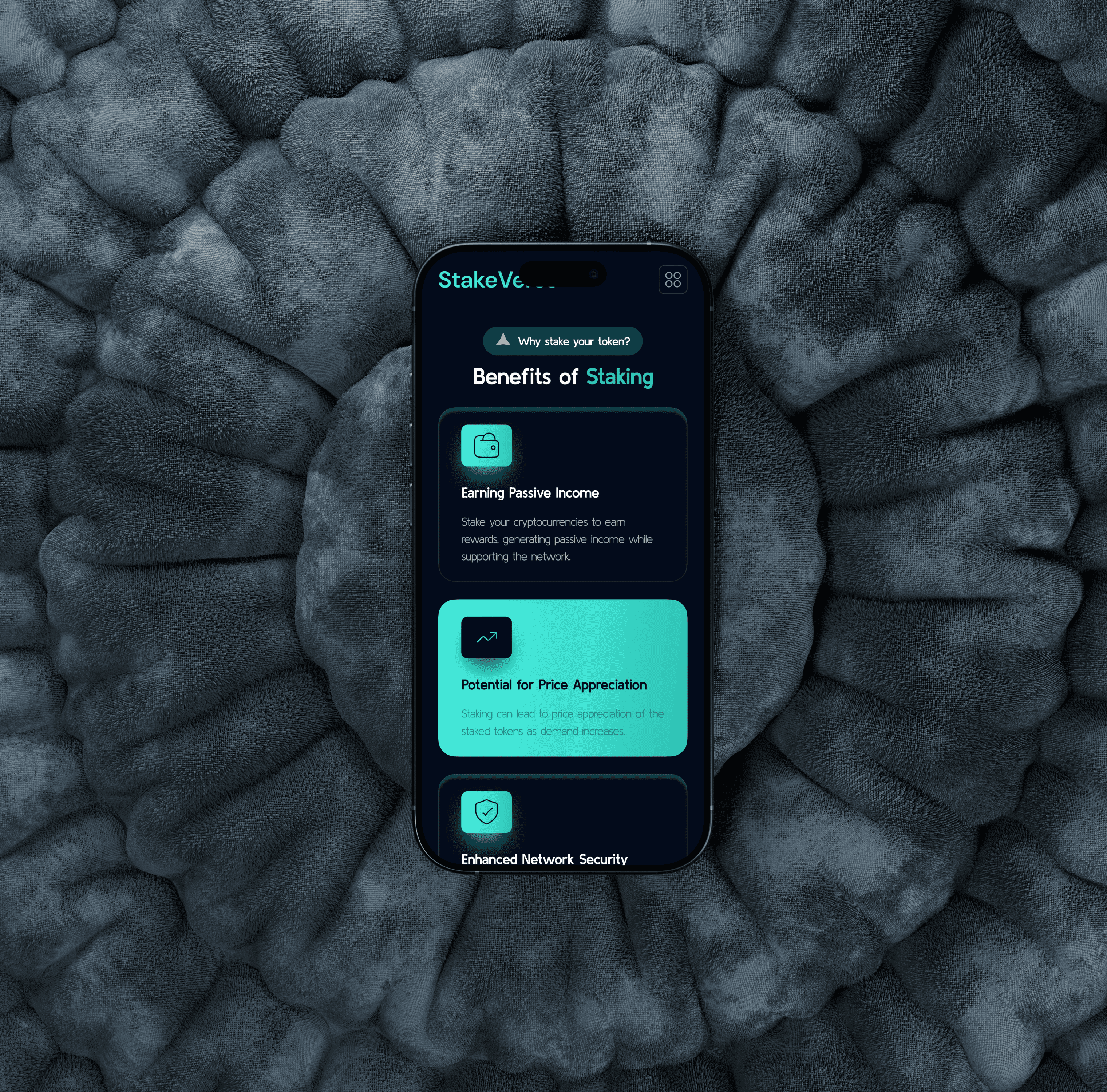 Project showcase laptop mockup