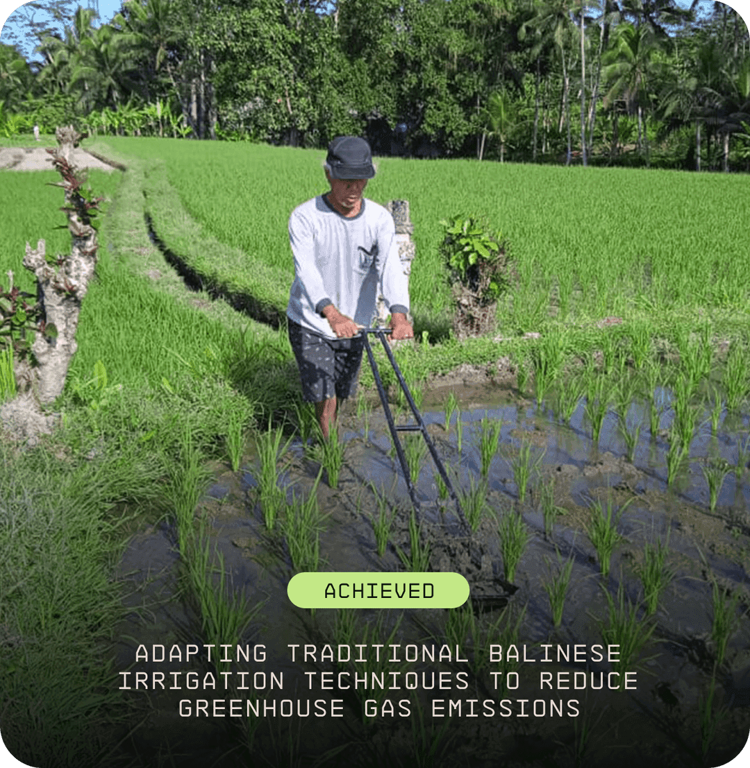 The image featured in the carousel #2