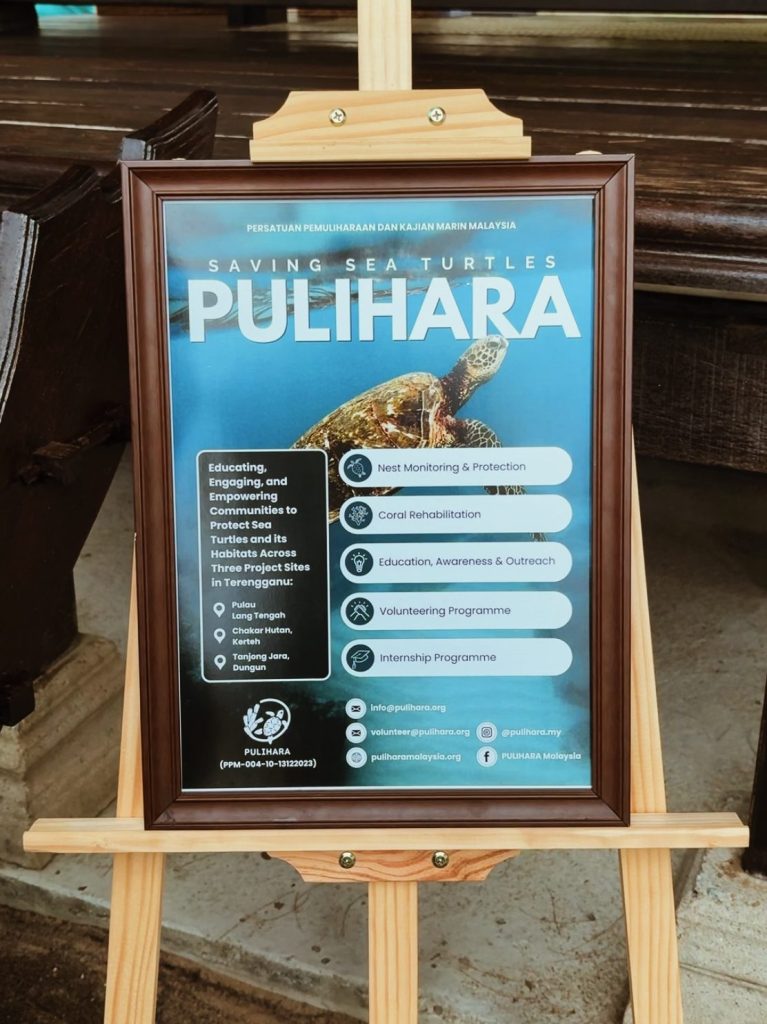 A framed information board titled 'Saving Sea Turtles - PULIHARA' on an easel, detailing various conservation initiatives including nest monitoring, coral rehabilitation, and educational programs focused on sea turtle preservation.