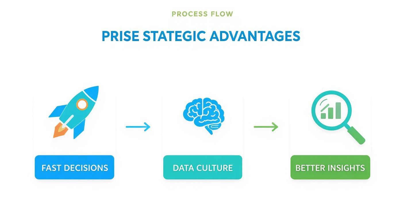 Process flow diagram showing fast decisions, data culture, and better insights with icons.