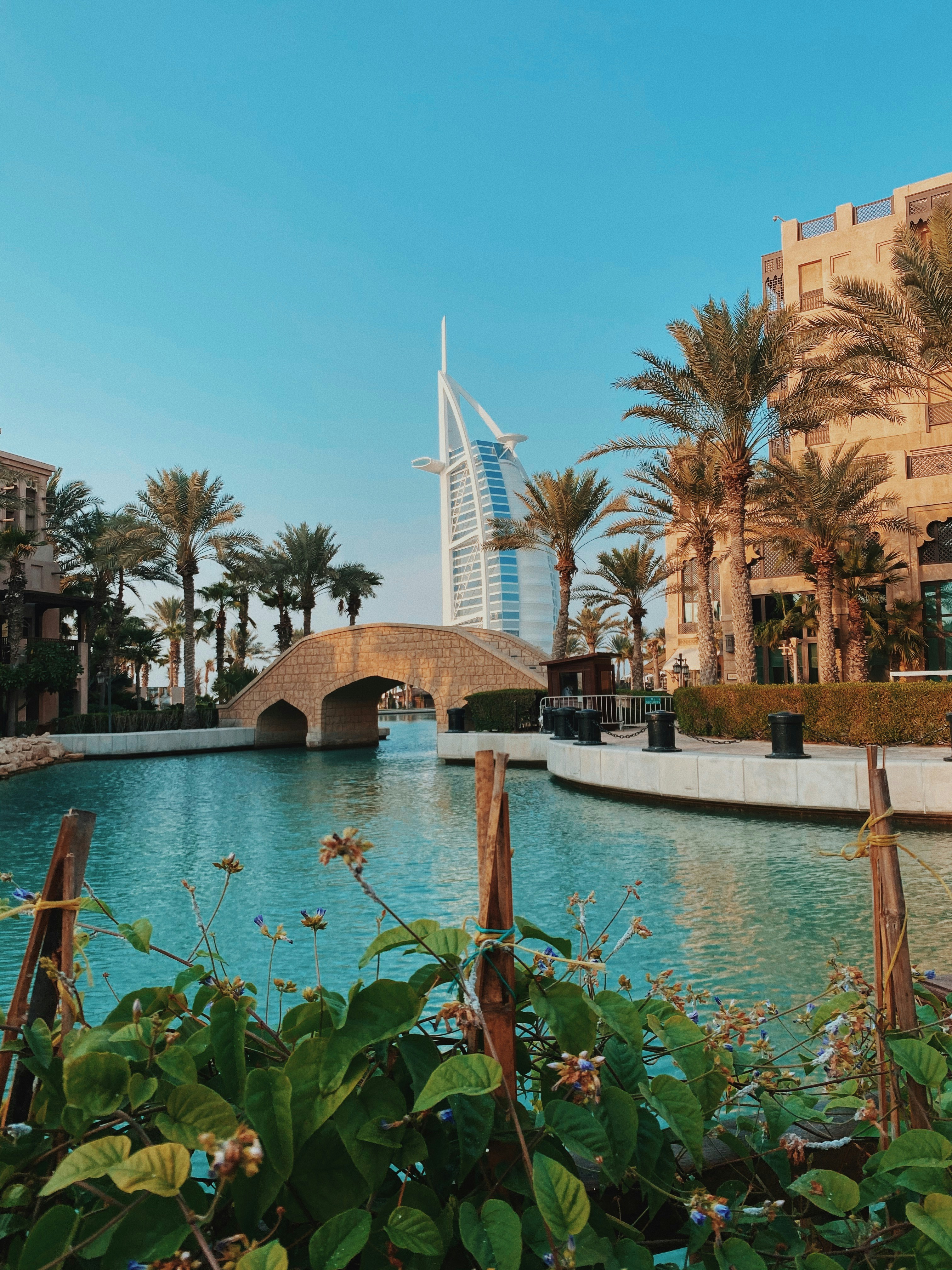 people in swimming pool near brown concrete building during daytime