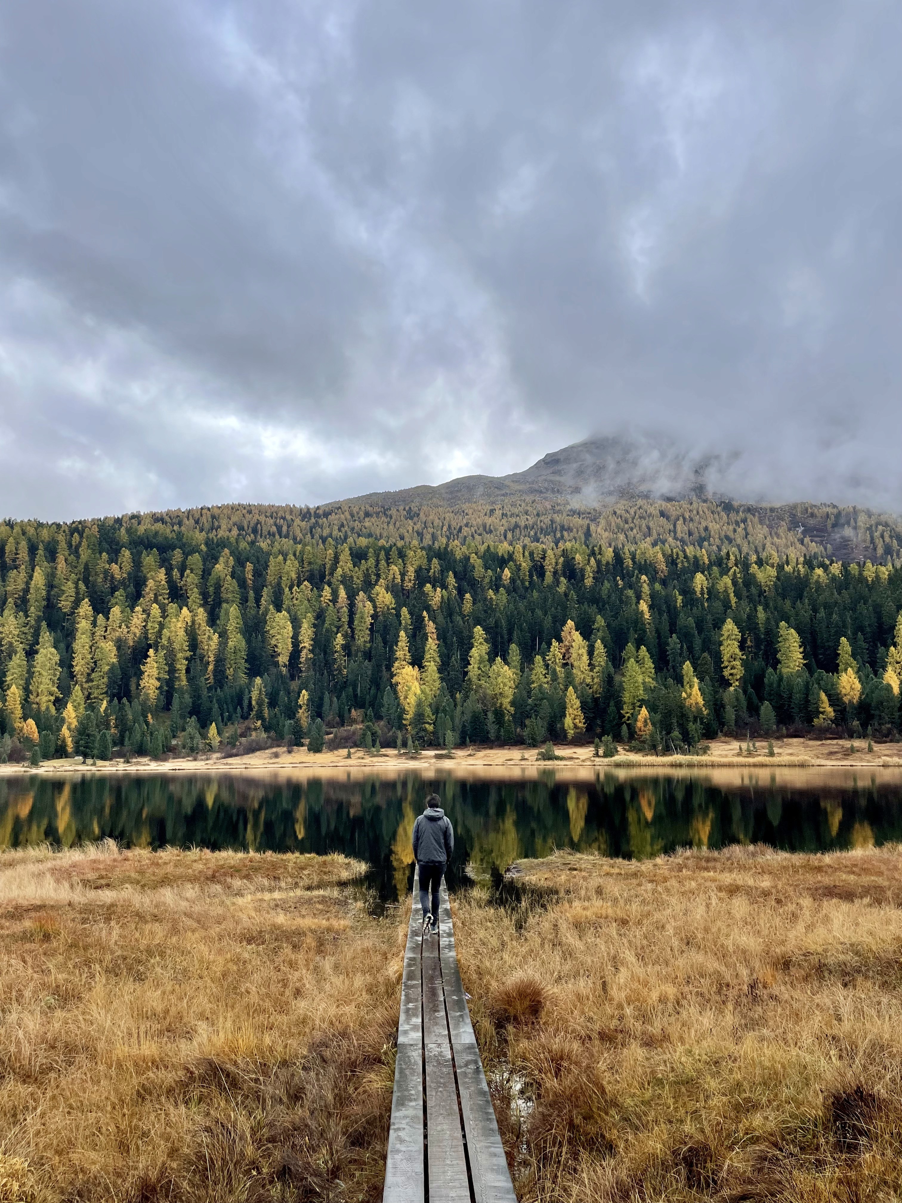 photo from unsplash as placeholder
