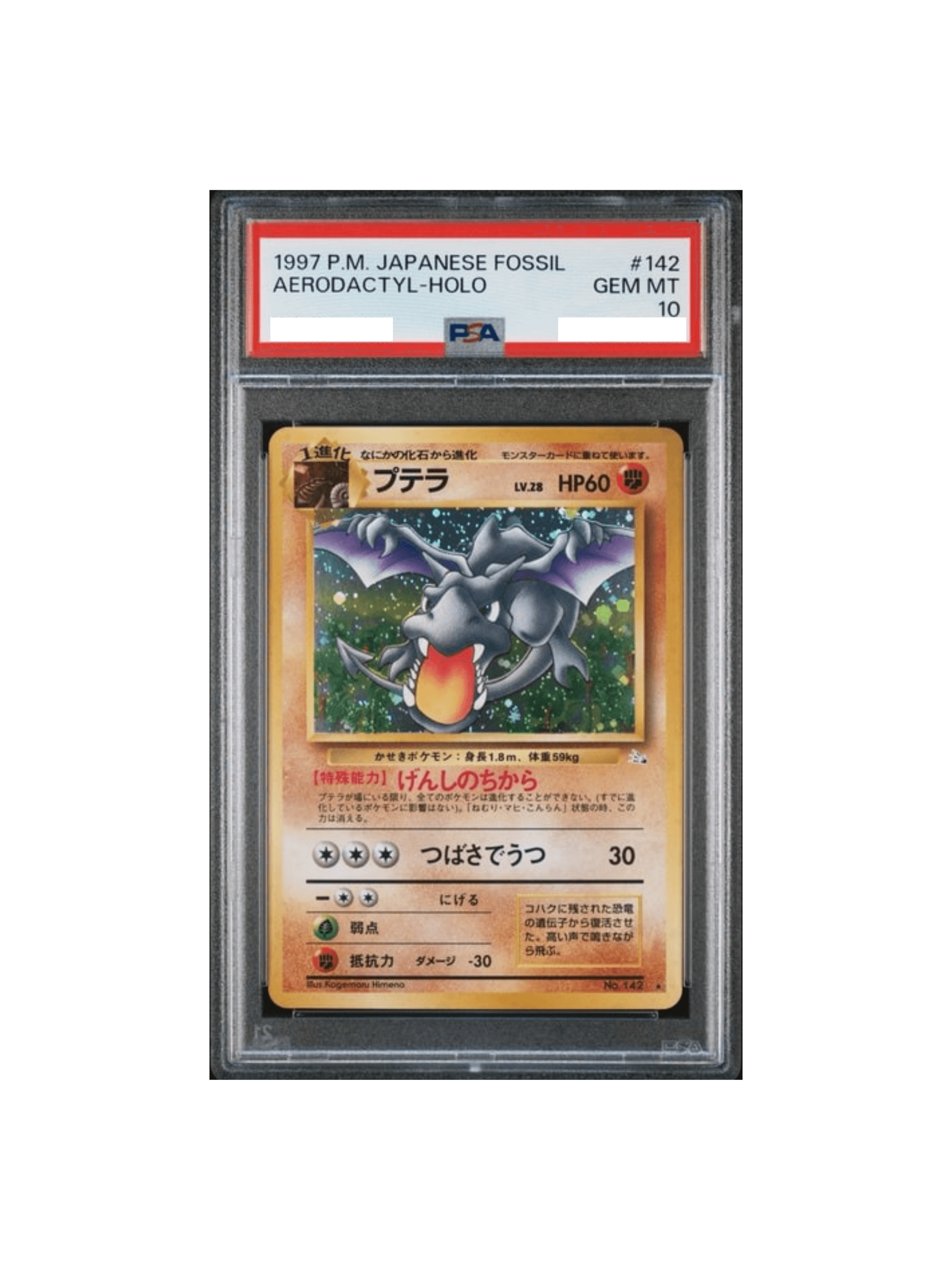 PSA10 プテラ R: 旧裏 [PMCG3 No.142] - PSA10 郵送買取