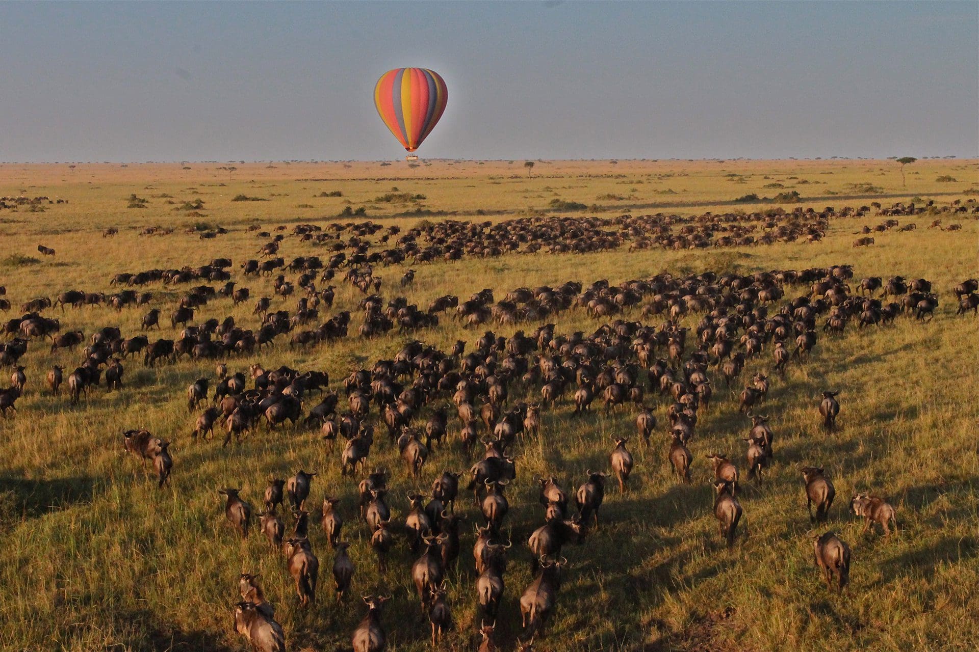 hot air balloon safari kenya, safari lodge kenya, kenya safari retreat yoga wellness 2025