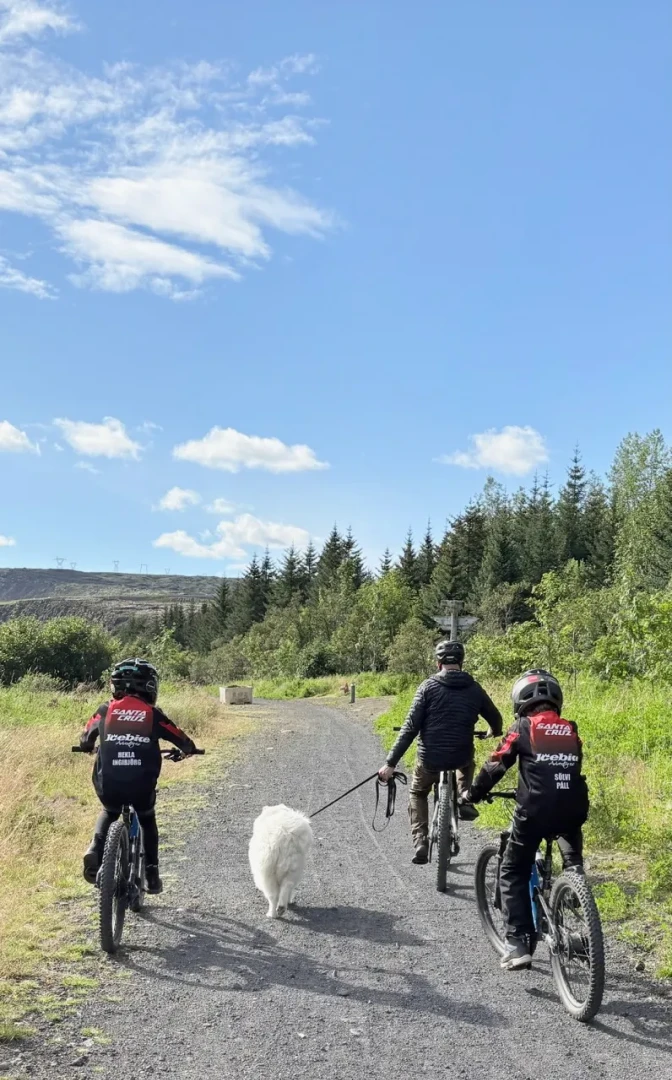 Family on a biketour away from camera with a dog