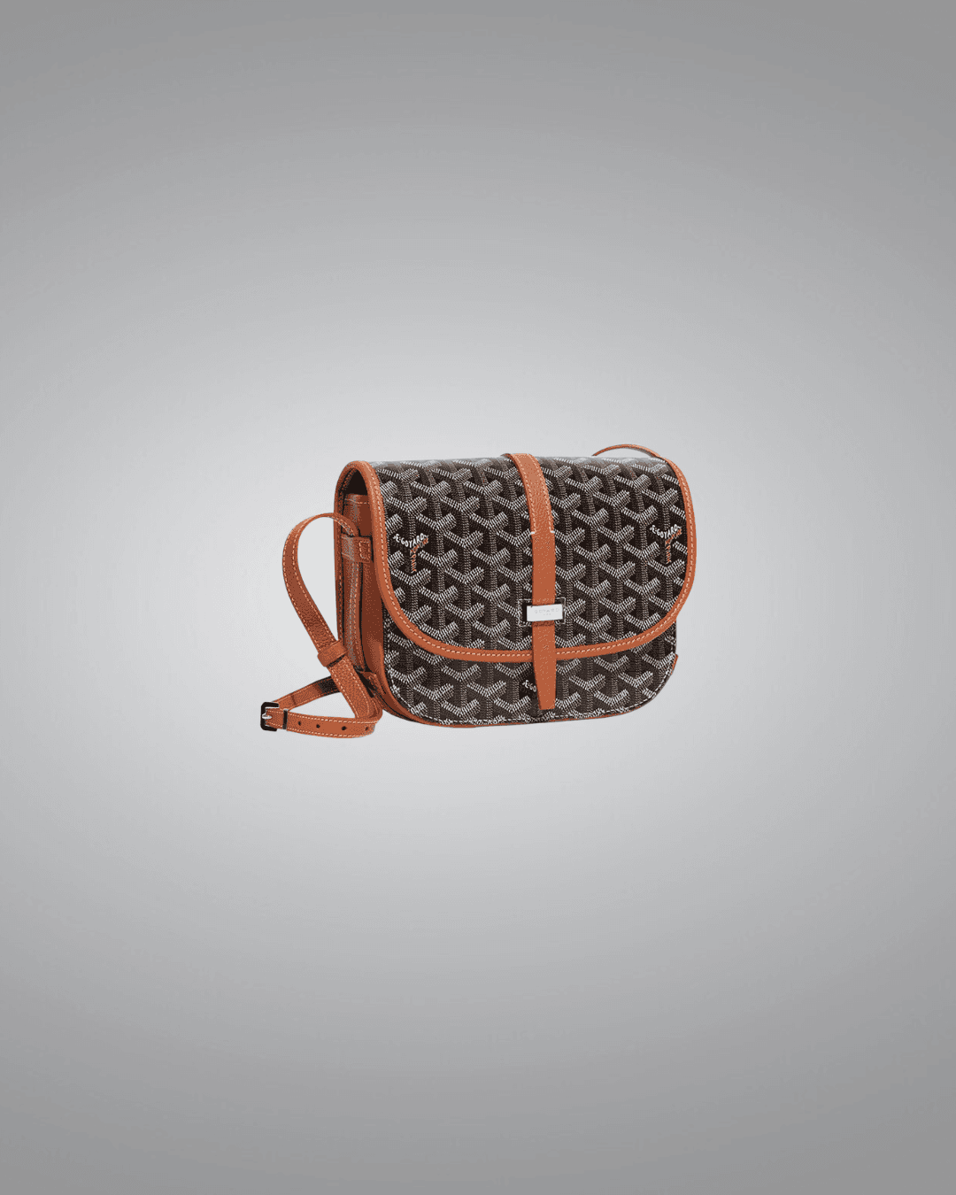 Goyard PM Messenger Bag