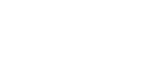 Princess