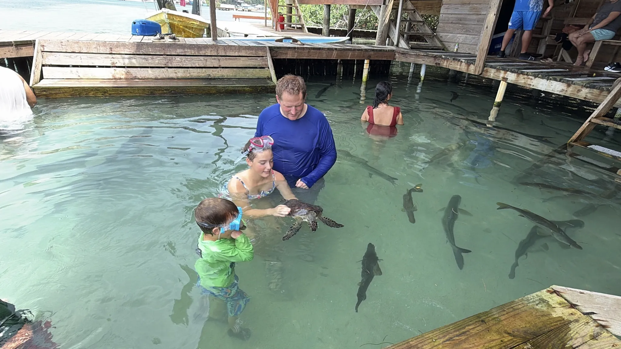 A netted turtle pool under a wooden dock in Calabash Bight on Roatán's east end