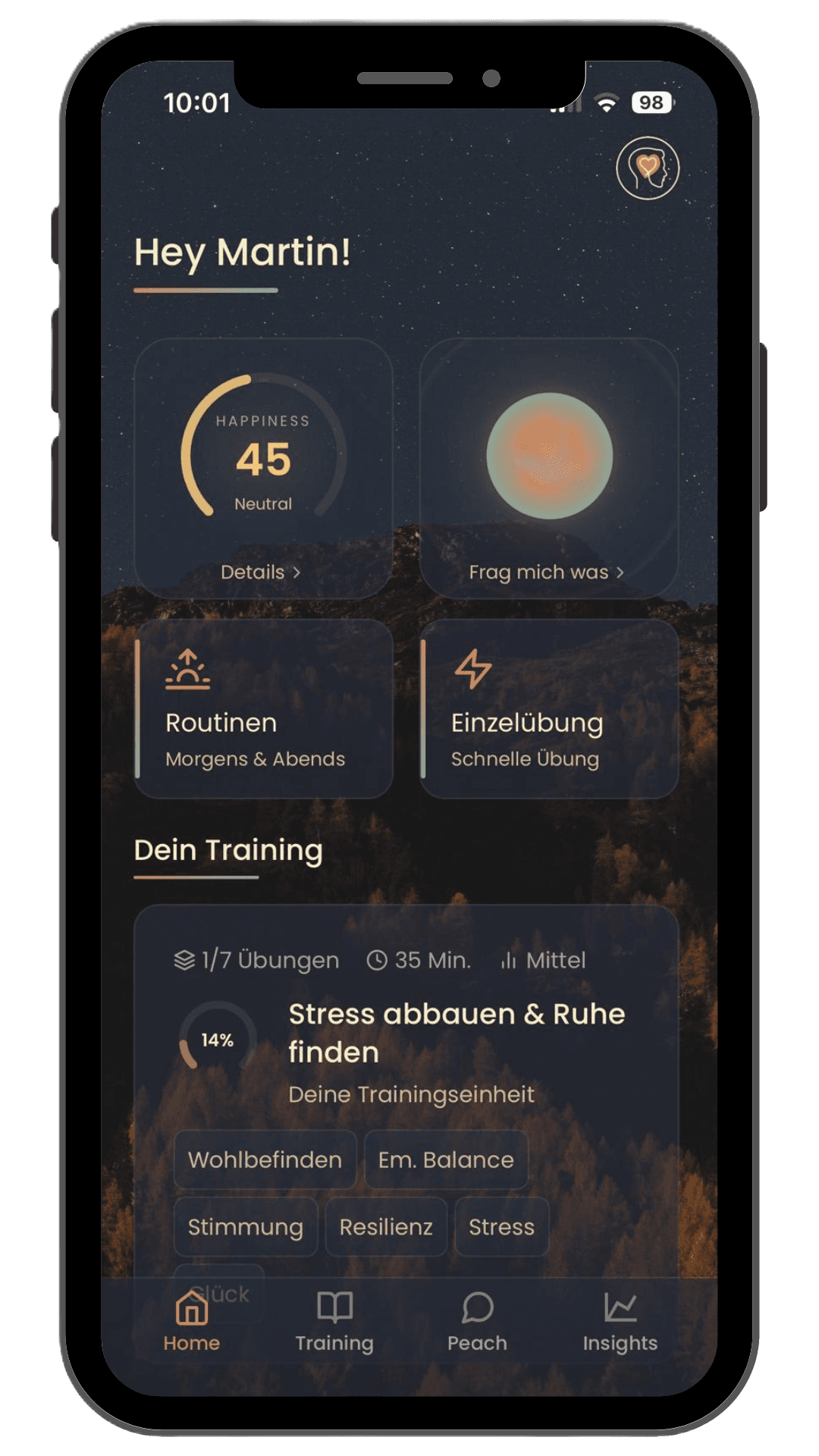 Routinen und Insights Screen der MindElevate App für meh mentale Stabilität und Fortschritten im Alltag.