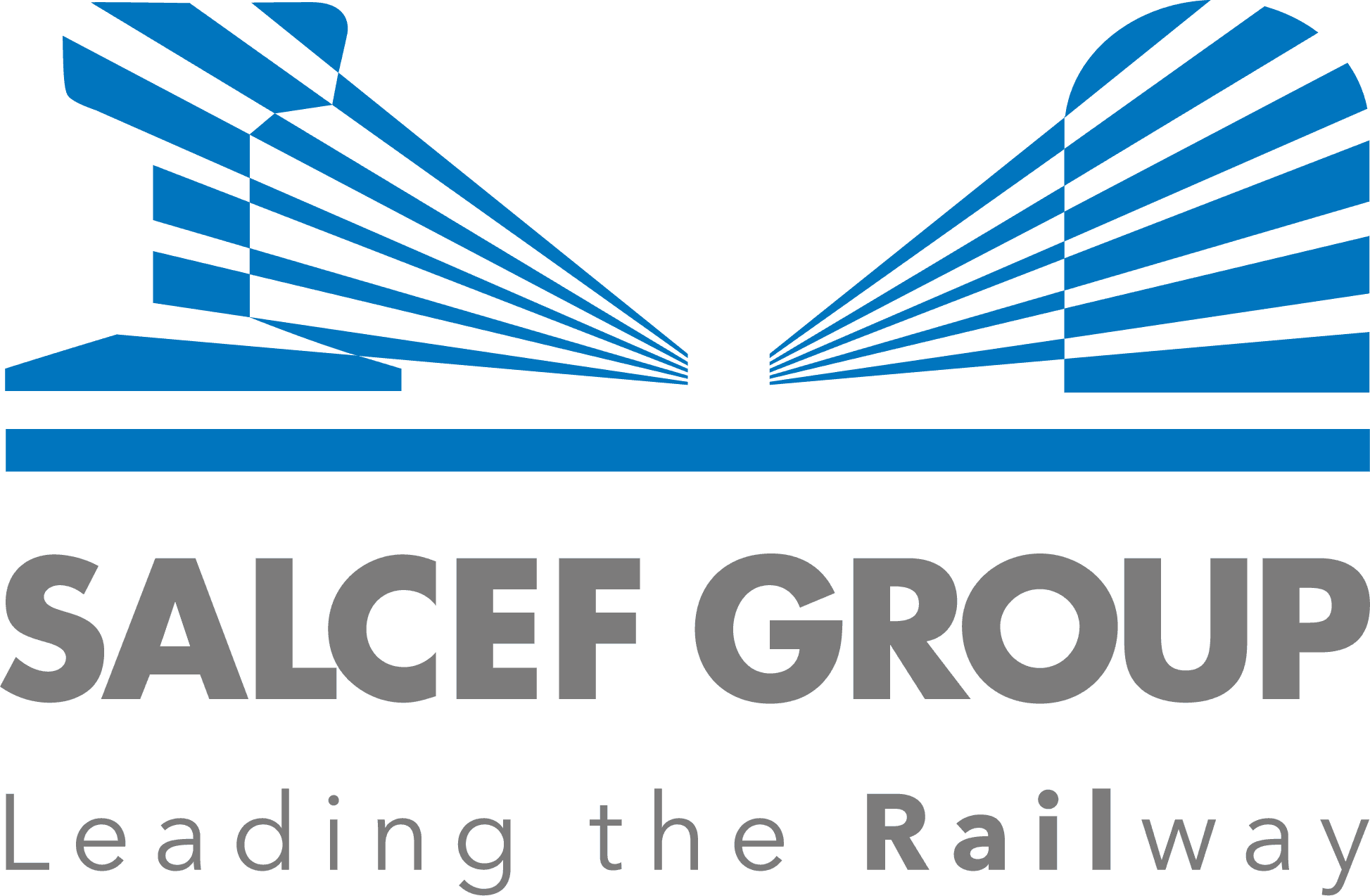 Salcef Group SPA