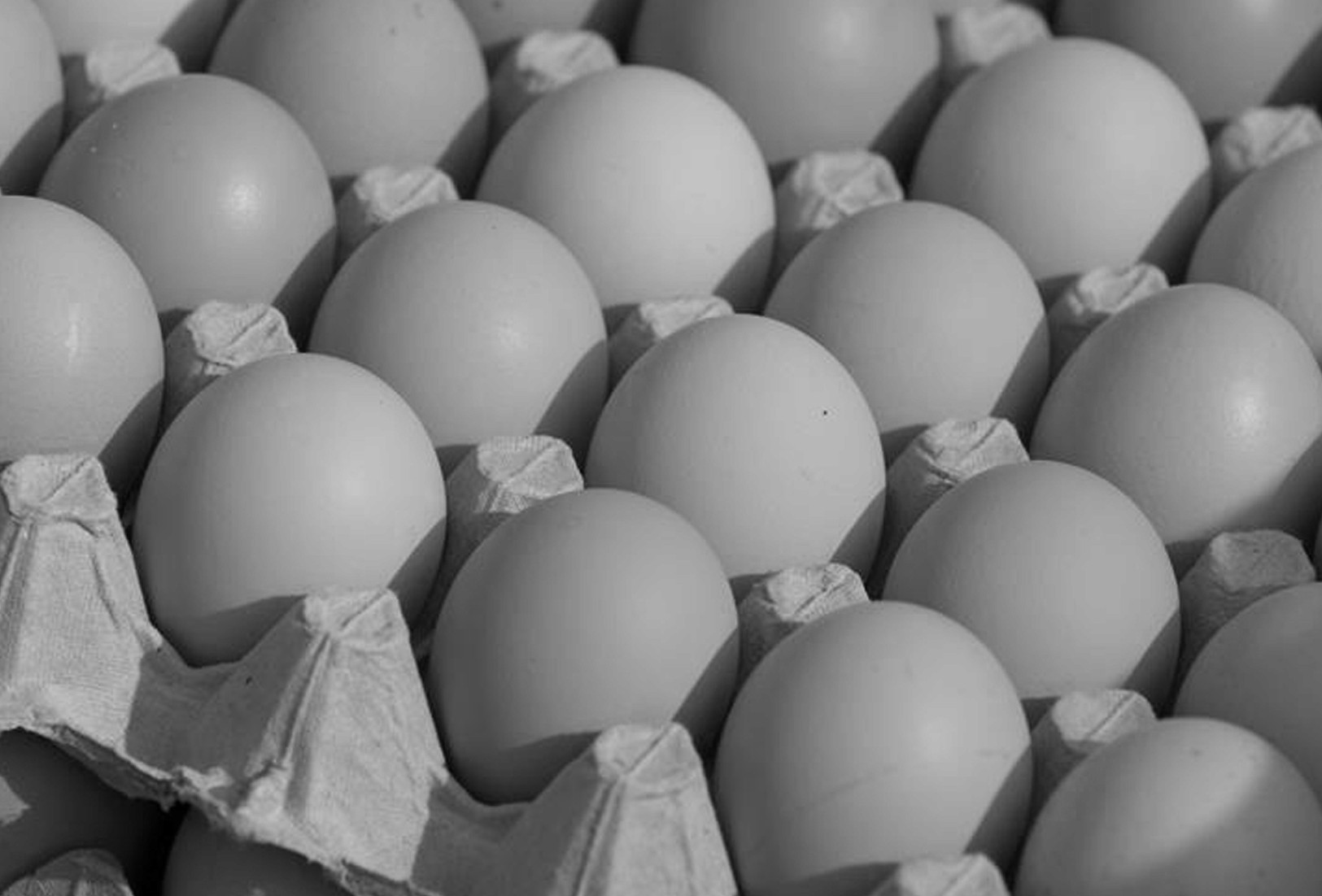 Organic Eggs from Chapel Lane Eggs which are getting supplied to As One Restaurant Dublin