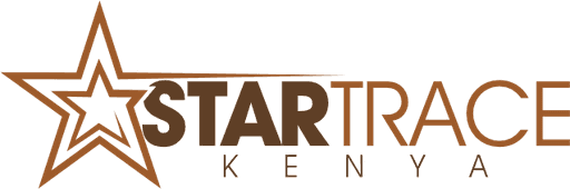 DVK Studios