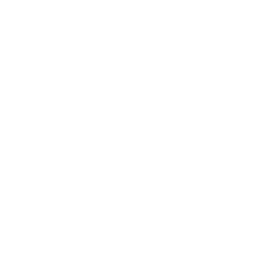 Icon of SaaS