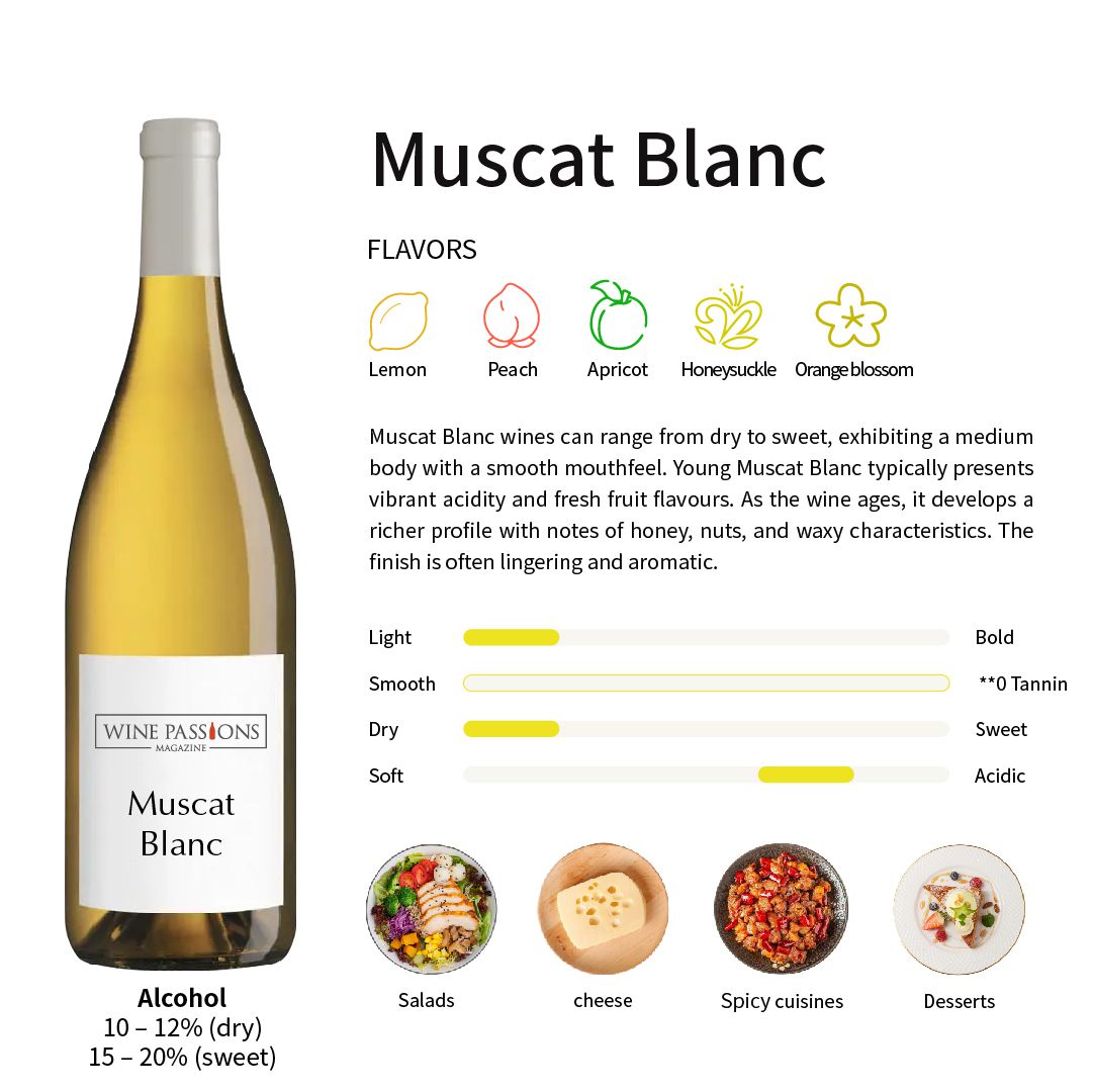  Muscat blanc葡萄 Muscat blanc酒 西西里白葡萄 如何品嘗Muscat blanc Muscat blanc風味特徵 意大利白葡萄 低單寧白酒 清新果香白酒 Muscat blanc主要產區 著名Muscat blanc 酒 自然釀造Muscat blanc 輕盈白葡萄推薦 葡萄酒與食物搭配指南 Muscat blanc 的最佳飲用方式