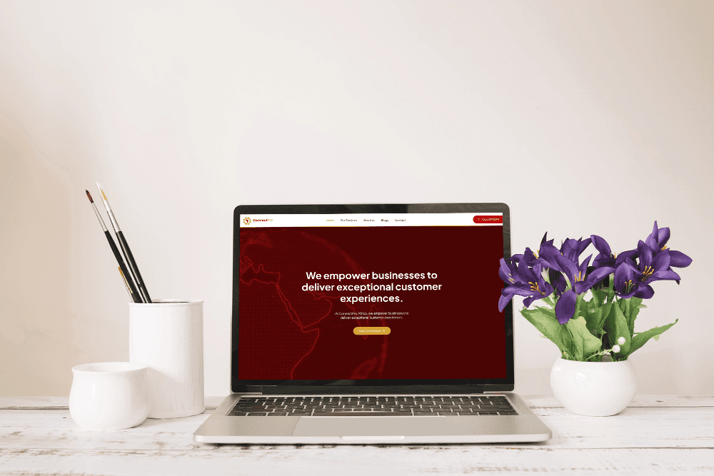 Connect Pro Africa